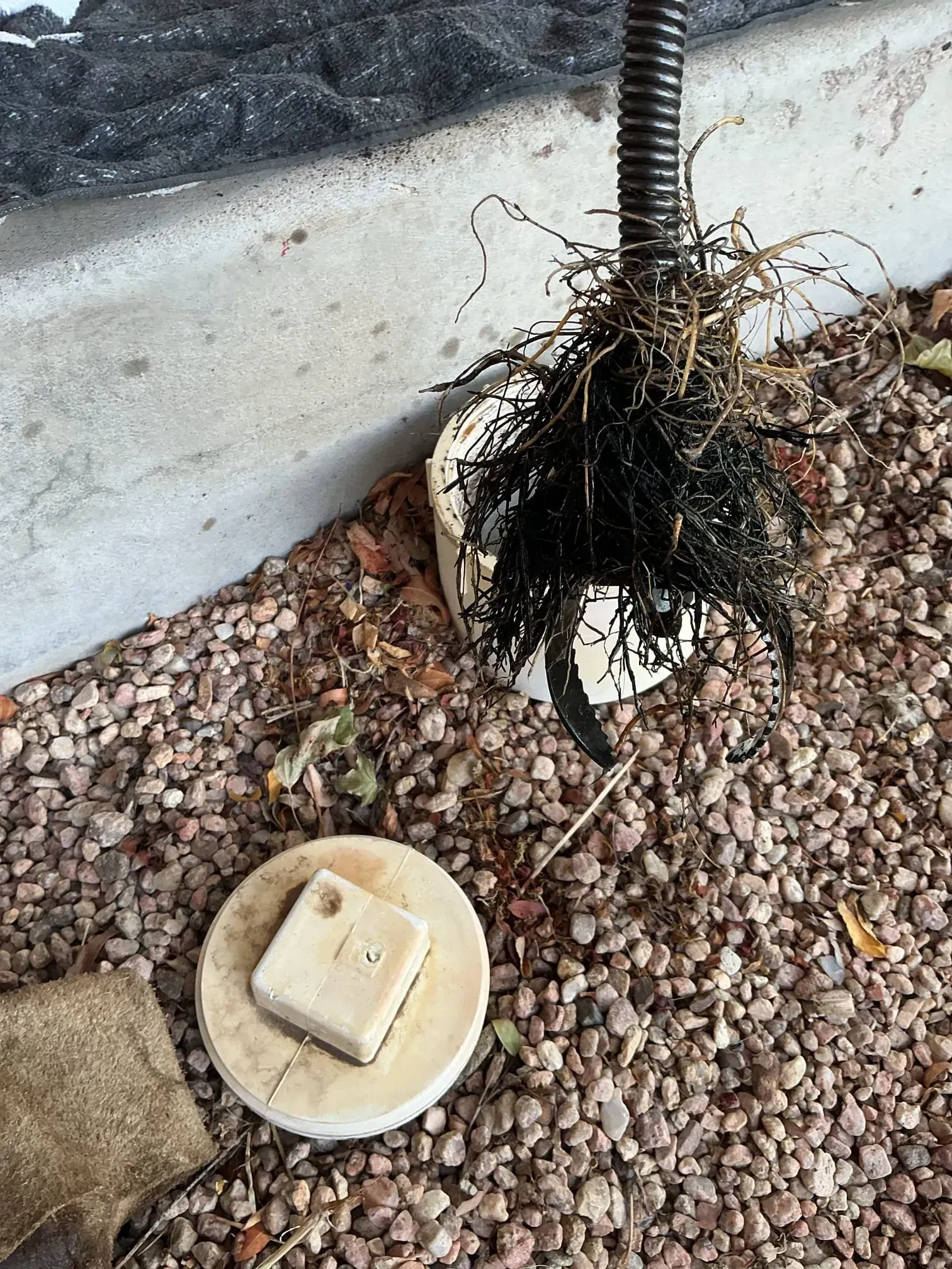 sewer rodding in denver