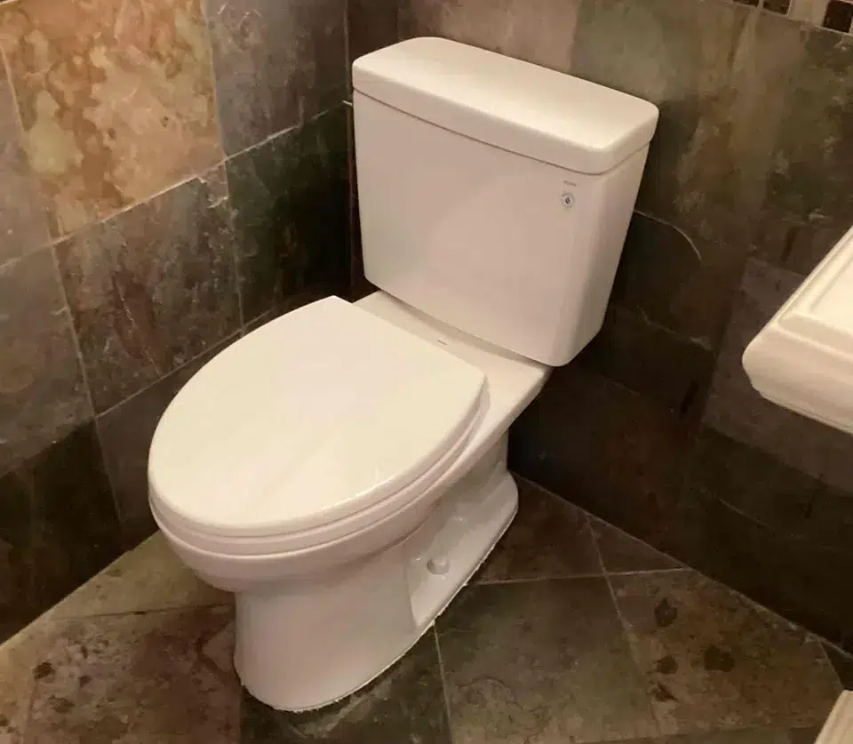 Denver Toilet Replacement